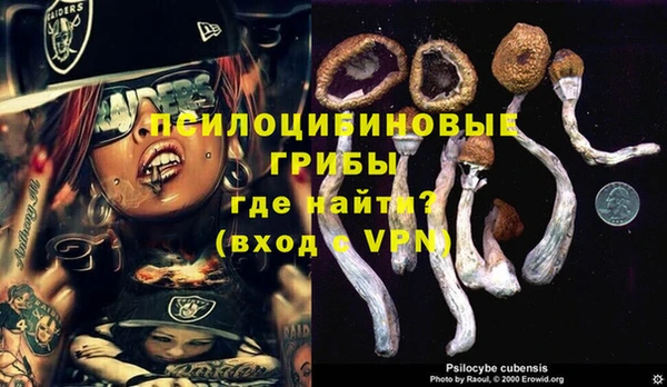 молекула духа Зеленодольск